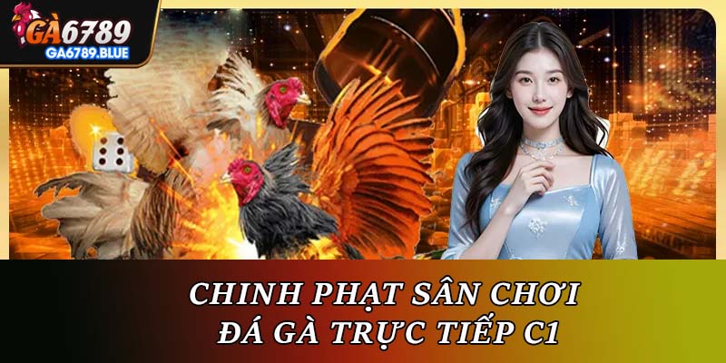 Chinh phạt sân chơi đá gà trực tiếp C1