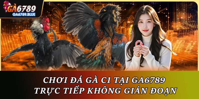 Chơi đá gà C1 tại Ga6789 trực tiếp - Không gián đoạn