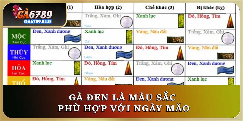 Gà đen là màu sắc phù hợp với ngày Mão