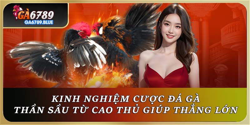 Kinh Nghiệm Cược Đá Gà Thần Sầu Từ Cao Thủ Giúp Thắng Lớn 