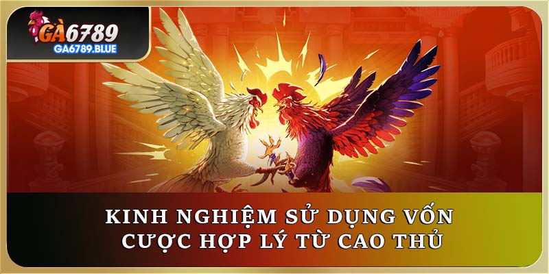 Kinh nghiệm sử dụng vốn cược hợp lý từ cao thủ