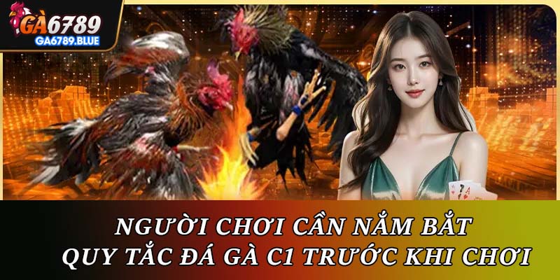 Người chơi cần nắm bắt quy tắc đá gà C1 trước khi chơi