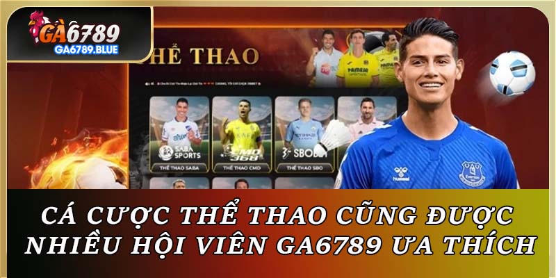 Cá cược thể thao cũng được nhiều hội viên GA6789 ưa thích